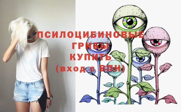 Альфа ПВП Вяземский