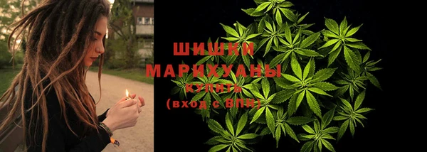 ECSTASY Вязьма